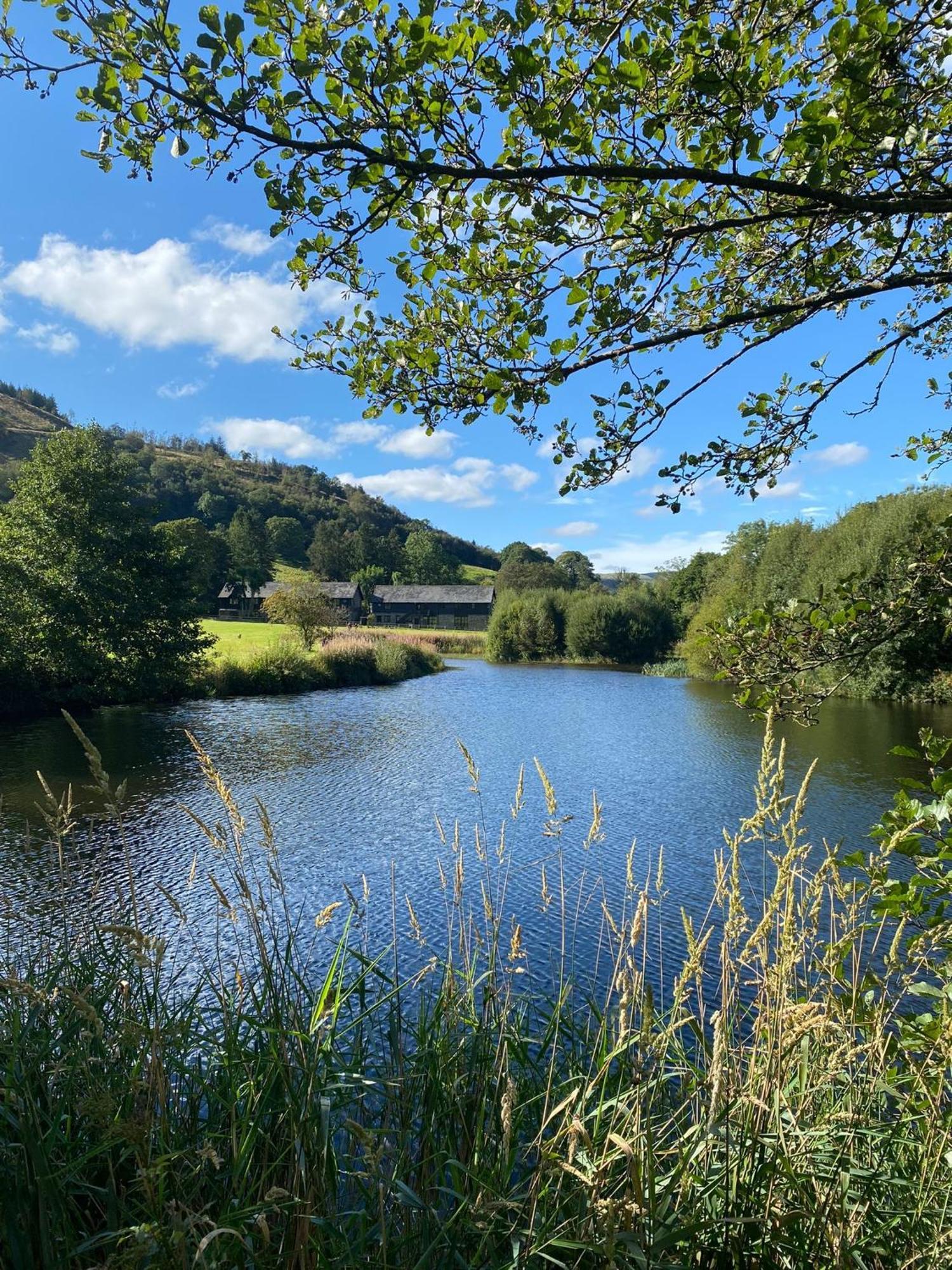 Lake Cottages At Cwm Chwefru Llanafan-fawr Extérieur photo